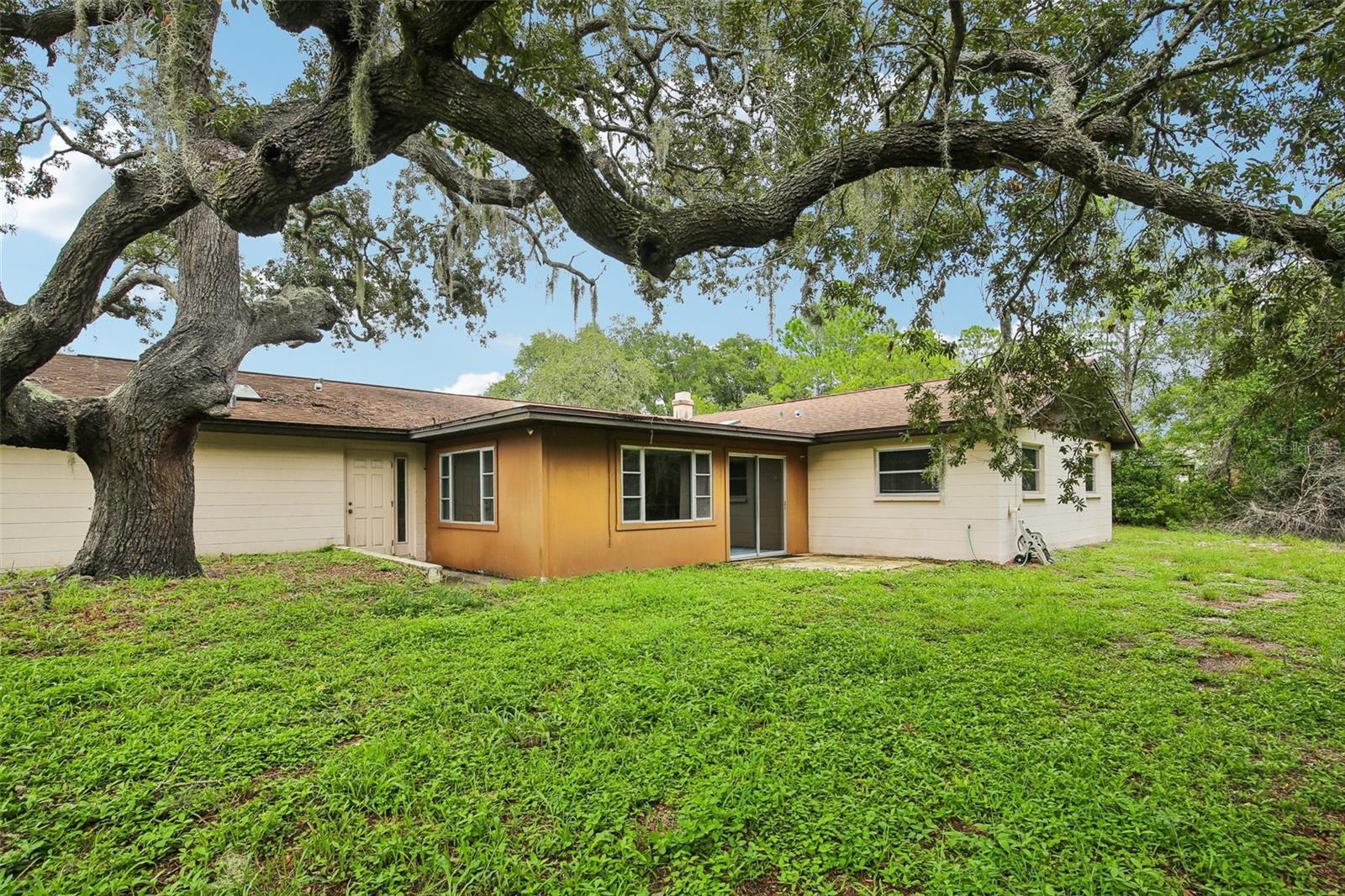Rear of house; grass is virtually shaded