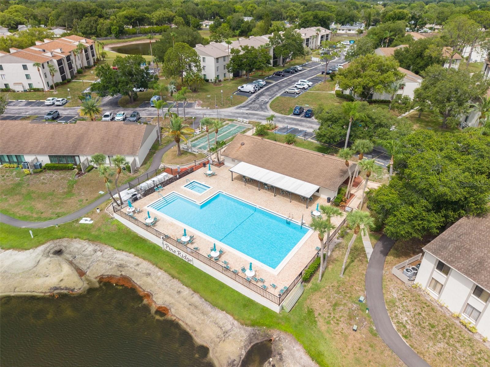 Community Pool, Clubhouse, Game