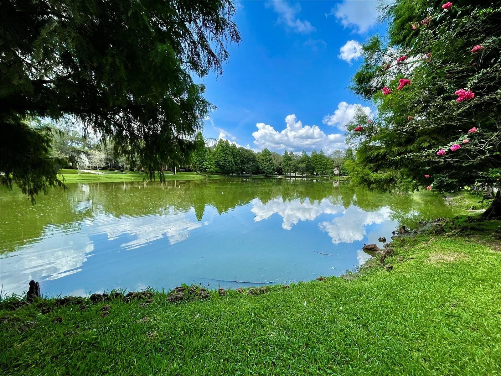 Charming Lake Roberta is the HEART of this historic neighborhood of Hampton Terrace