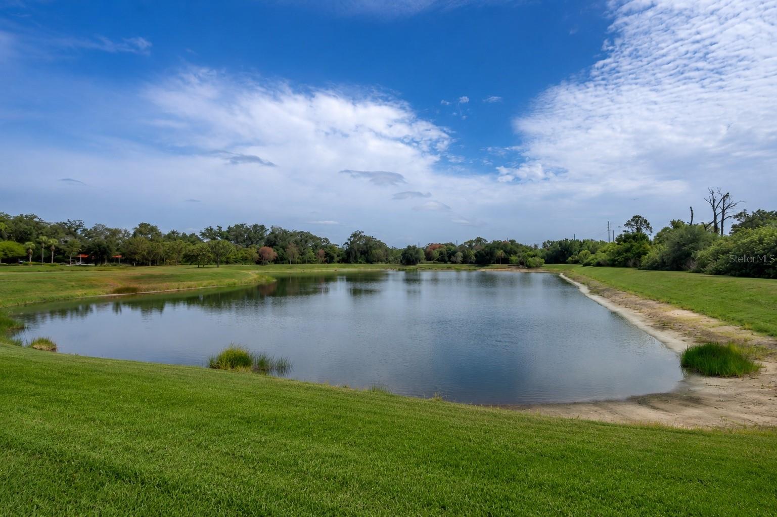 Pond in backyard