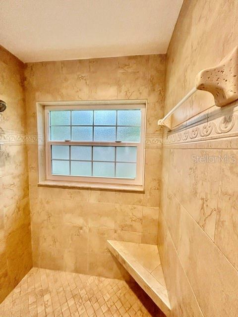 Master Bath Shower w/Stone Bench