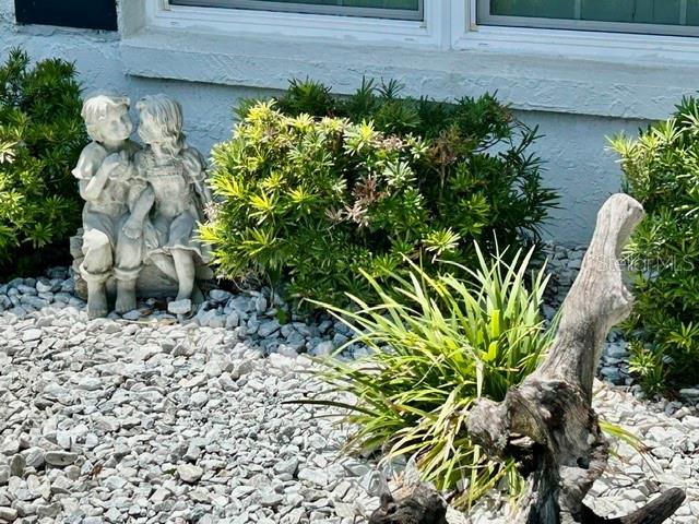 WHAT A GARDEN...