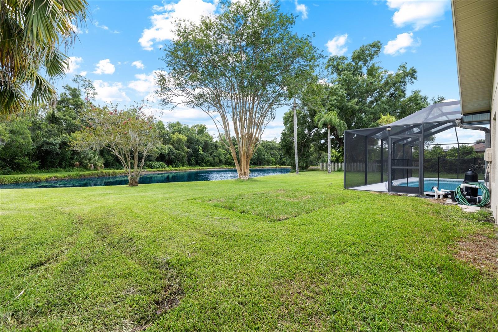 Yard & Pond View