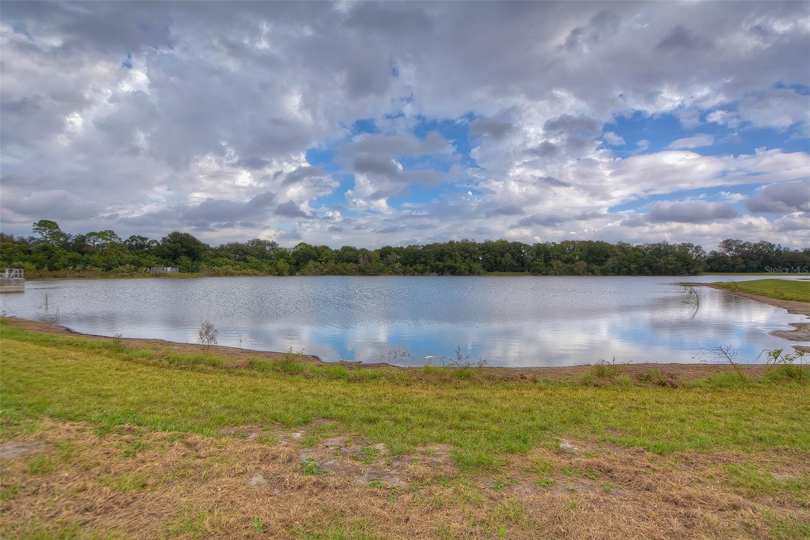 Carrollwood Village Park