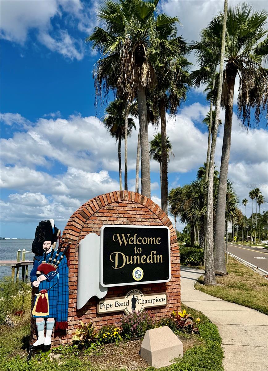 Welcome to Dunedin