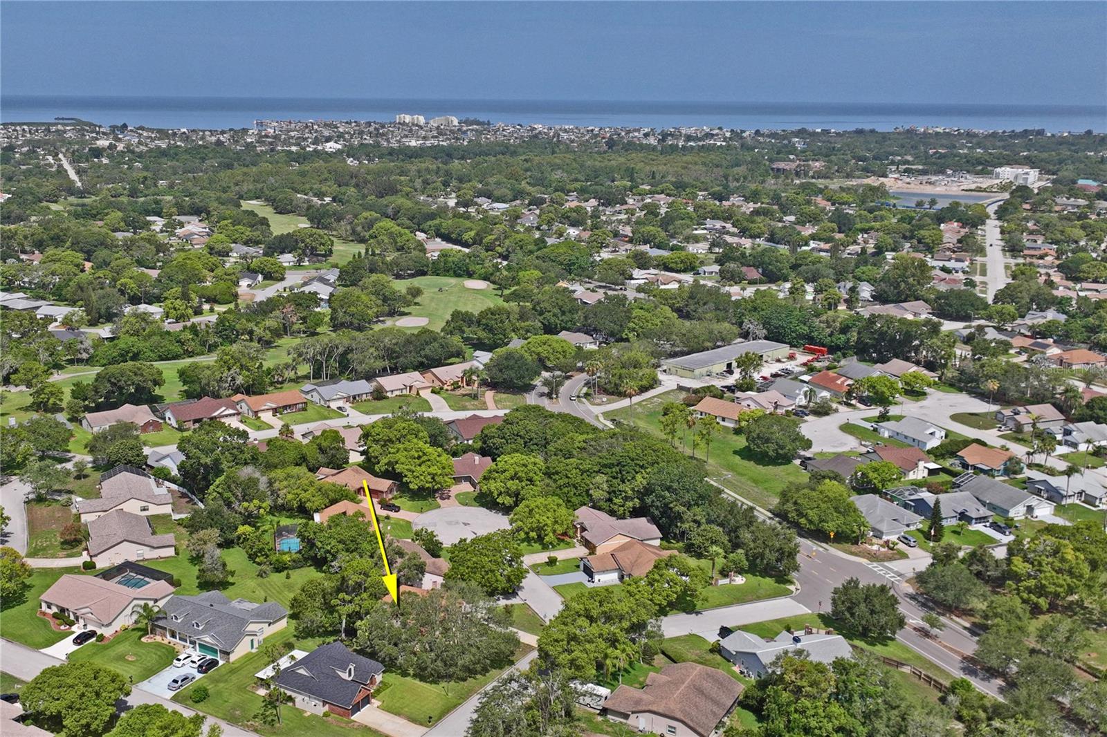 W7887664
