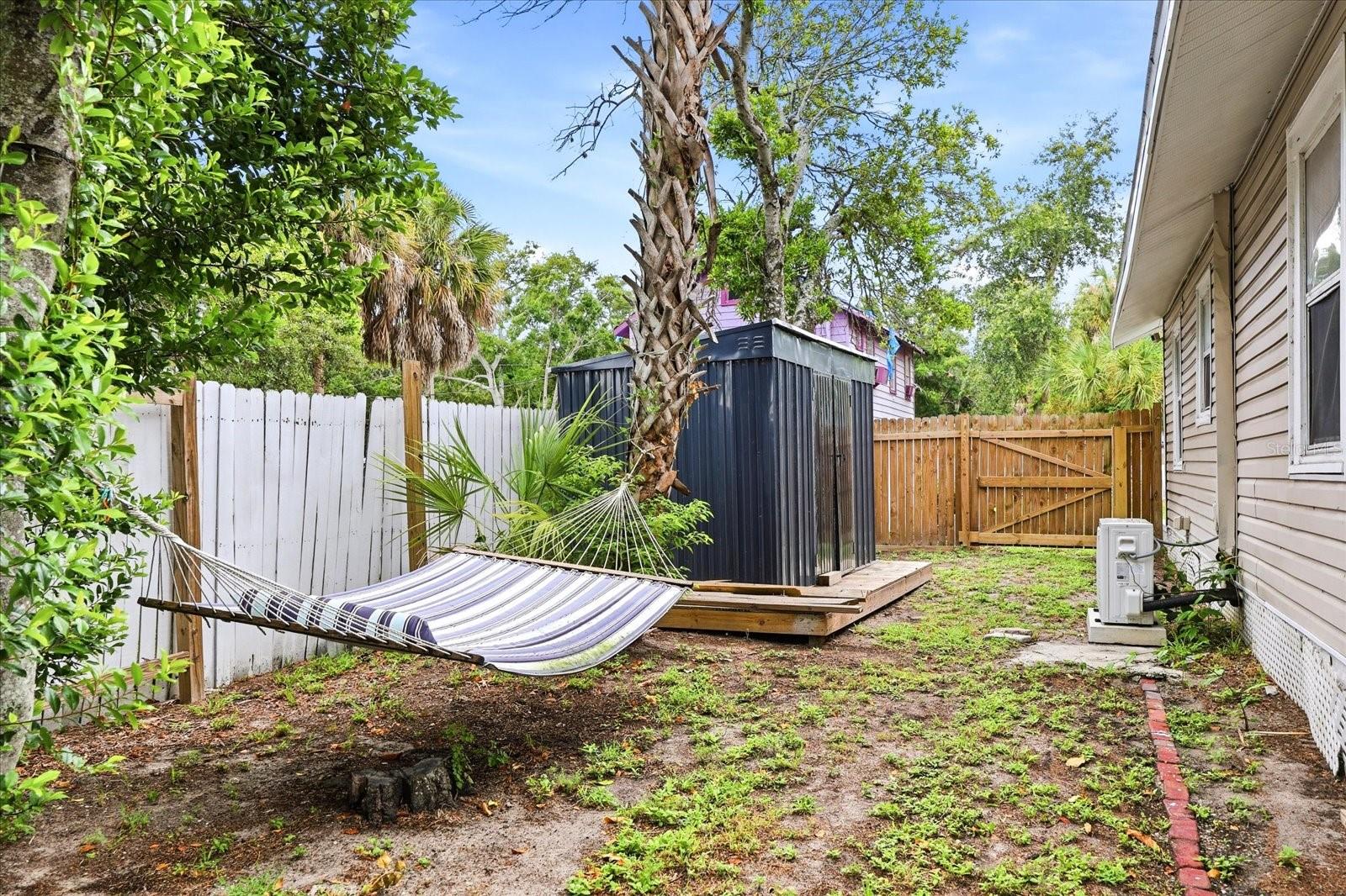 Backyard