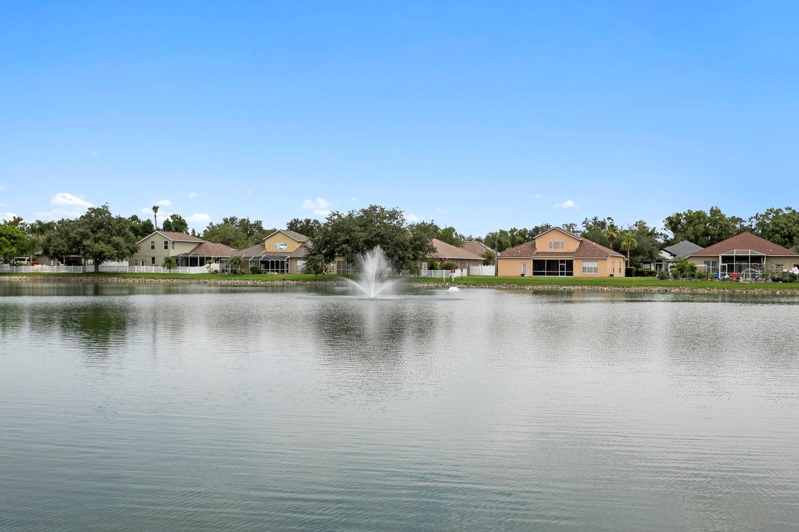 Fountain views from your backyard