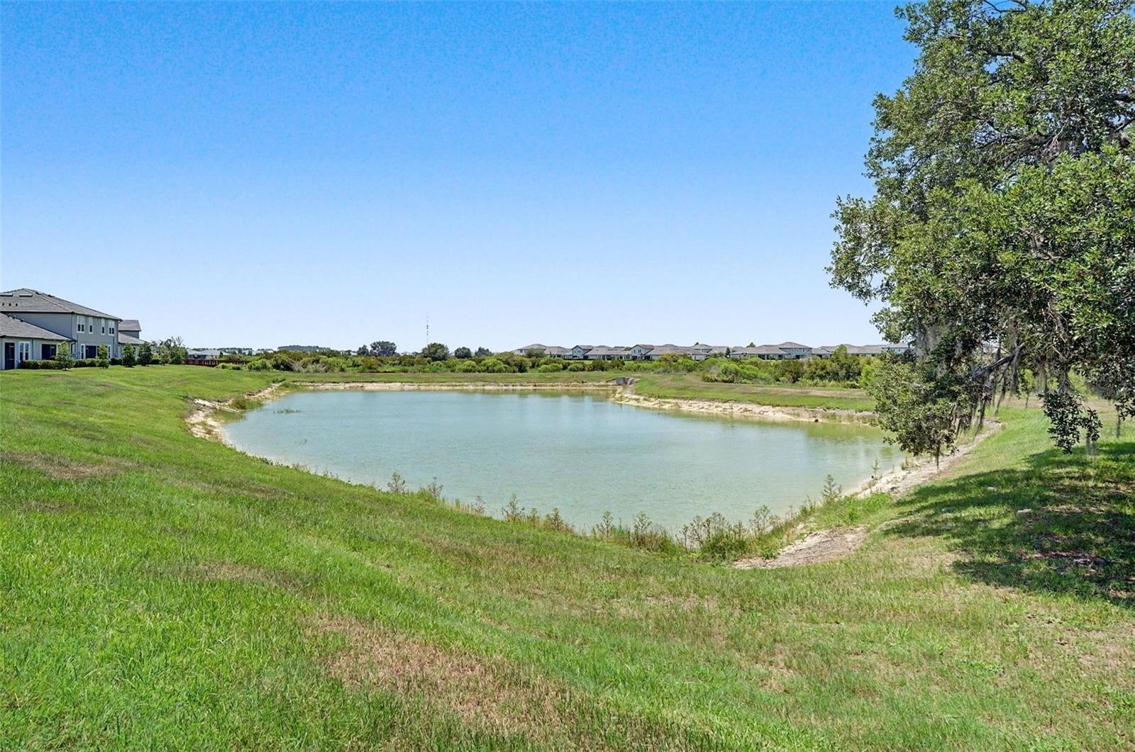 Large Pond View
