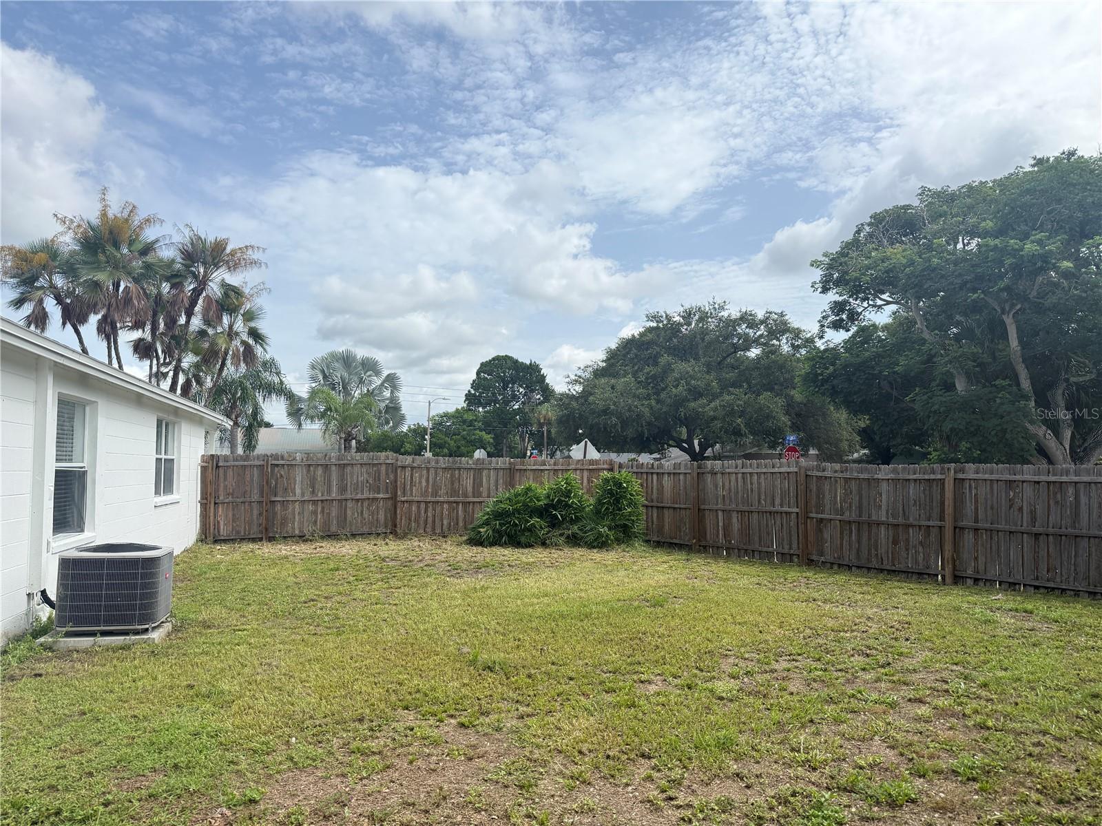 Back Yard