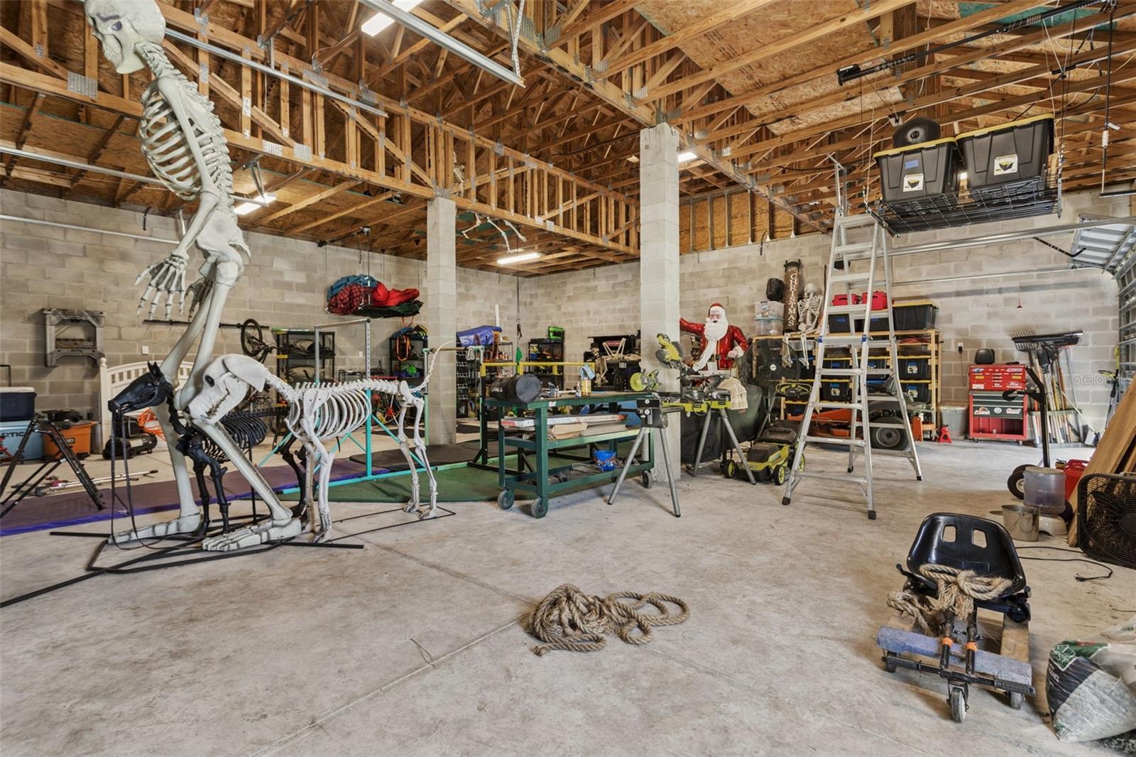 TB8529679