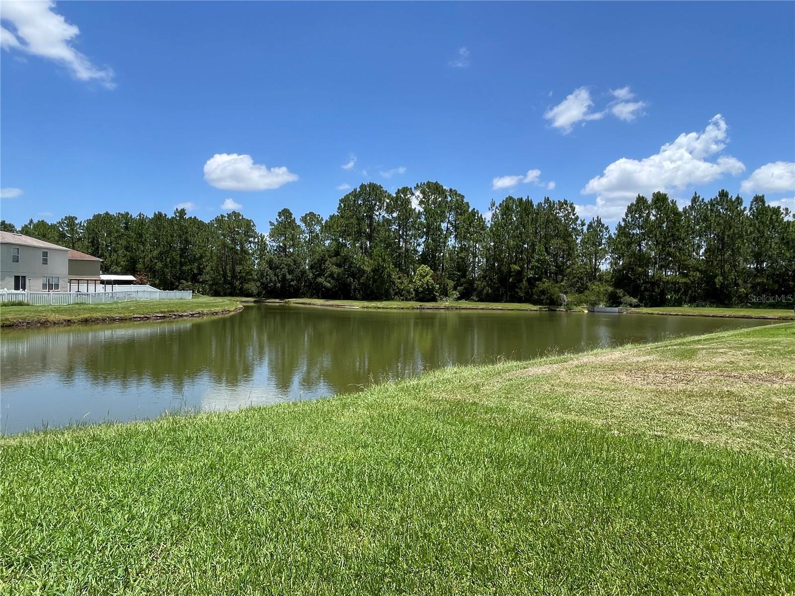 Beautiful lot with pond and tree lined views