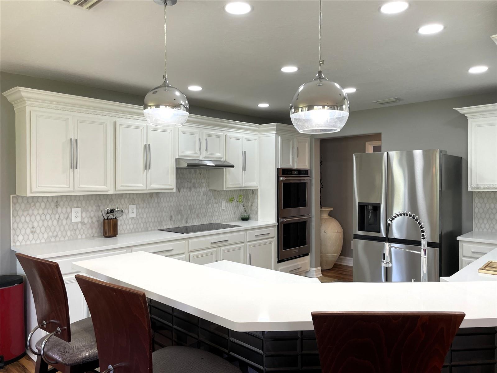 Gourmet Kitchen with NEW Quartz Counter
