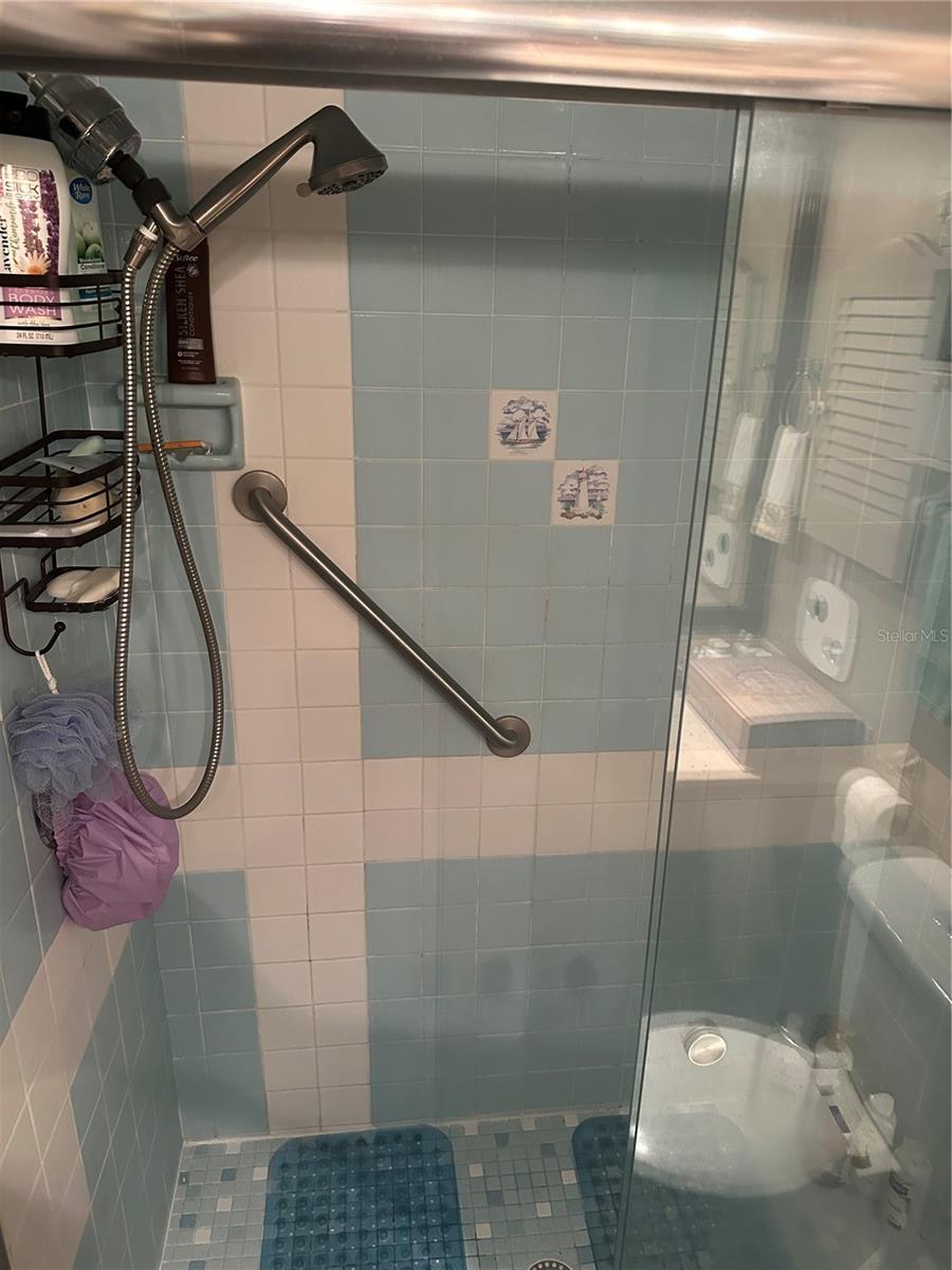Primary Shower