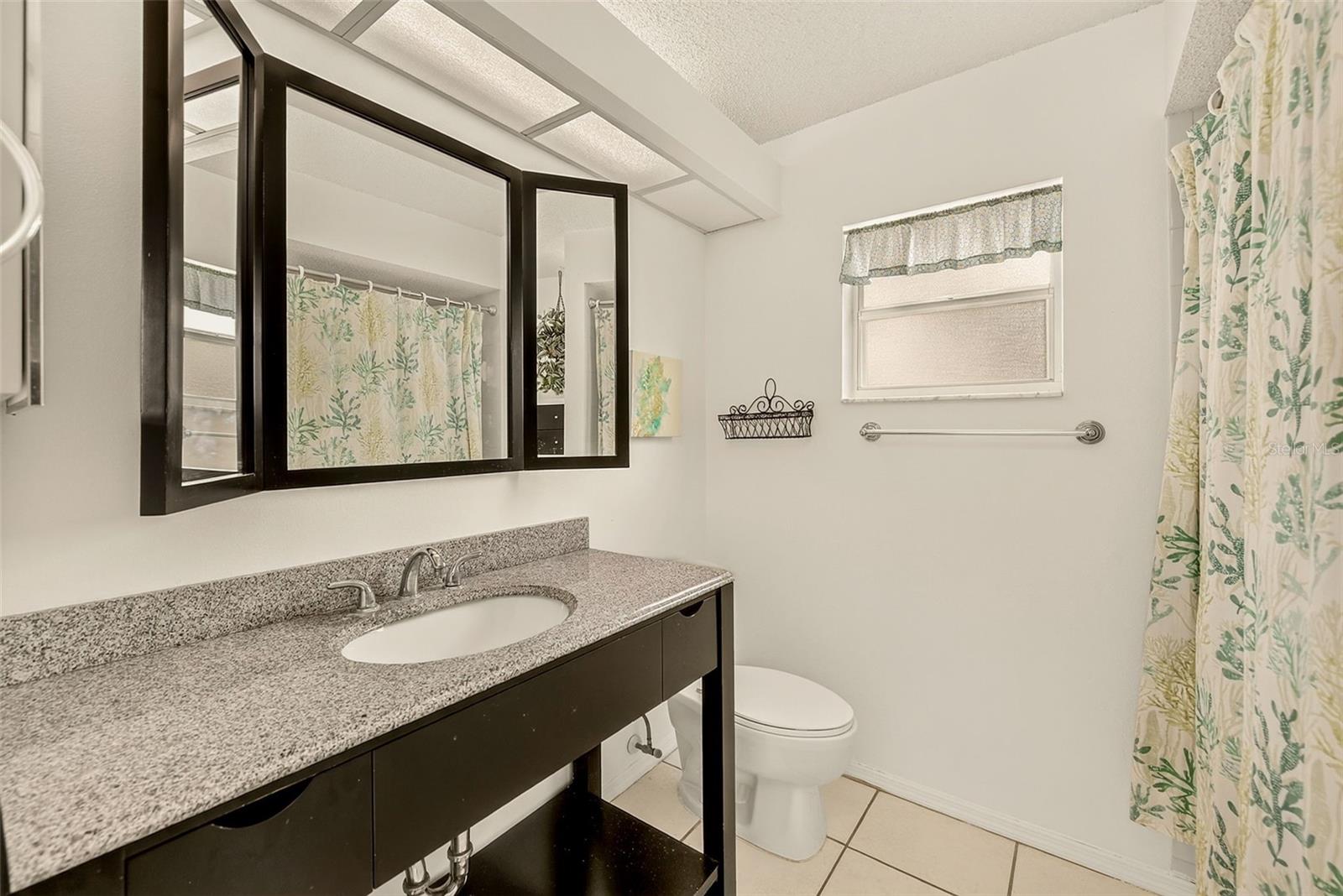 2nd view of hall bathroom