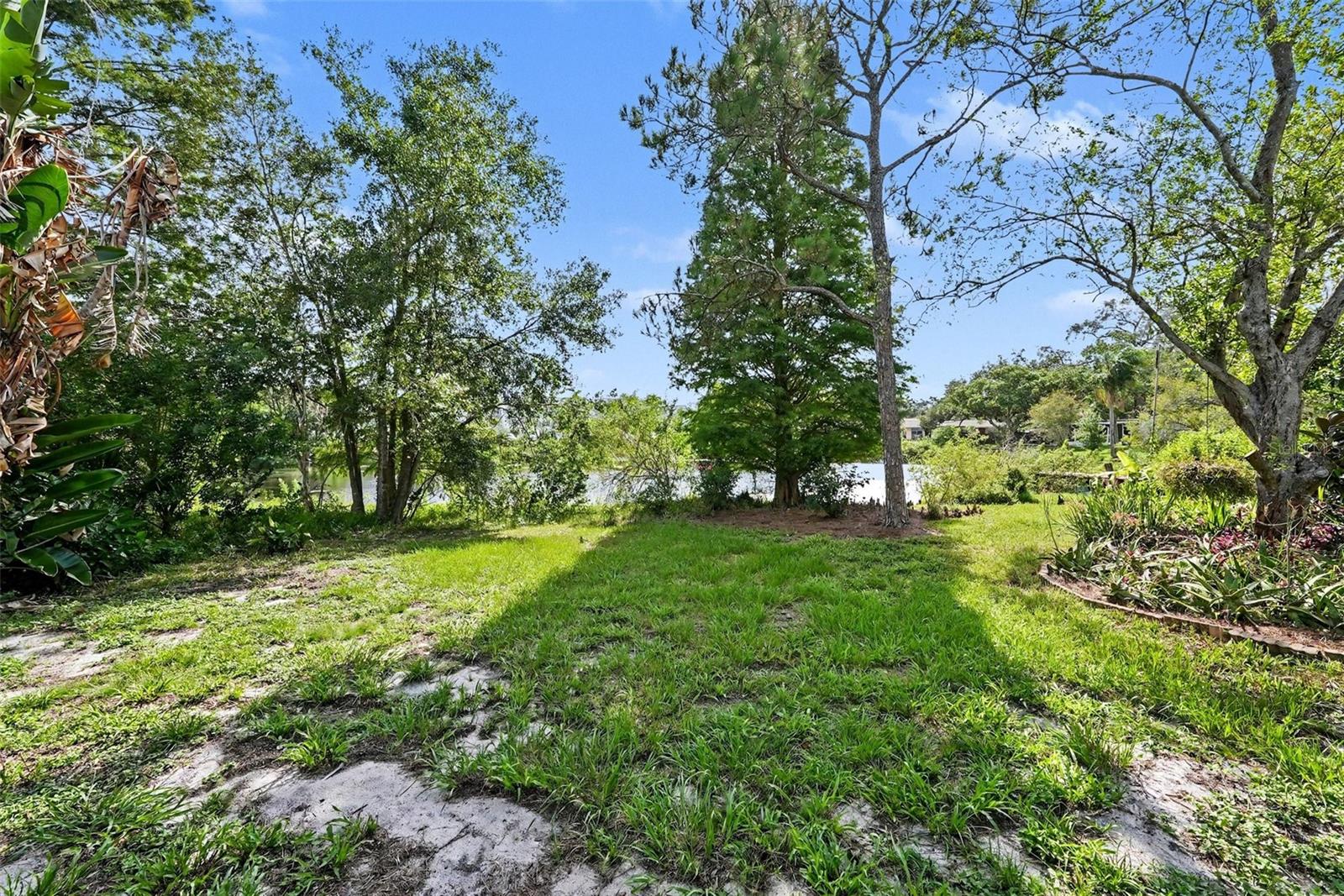 Large Backyard, view to Lake