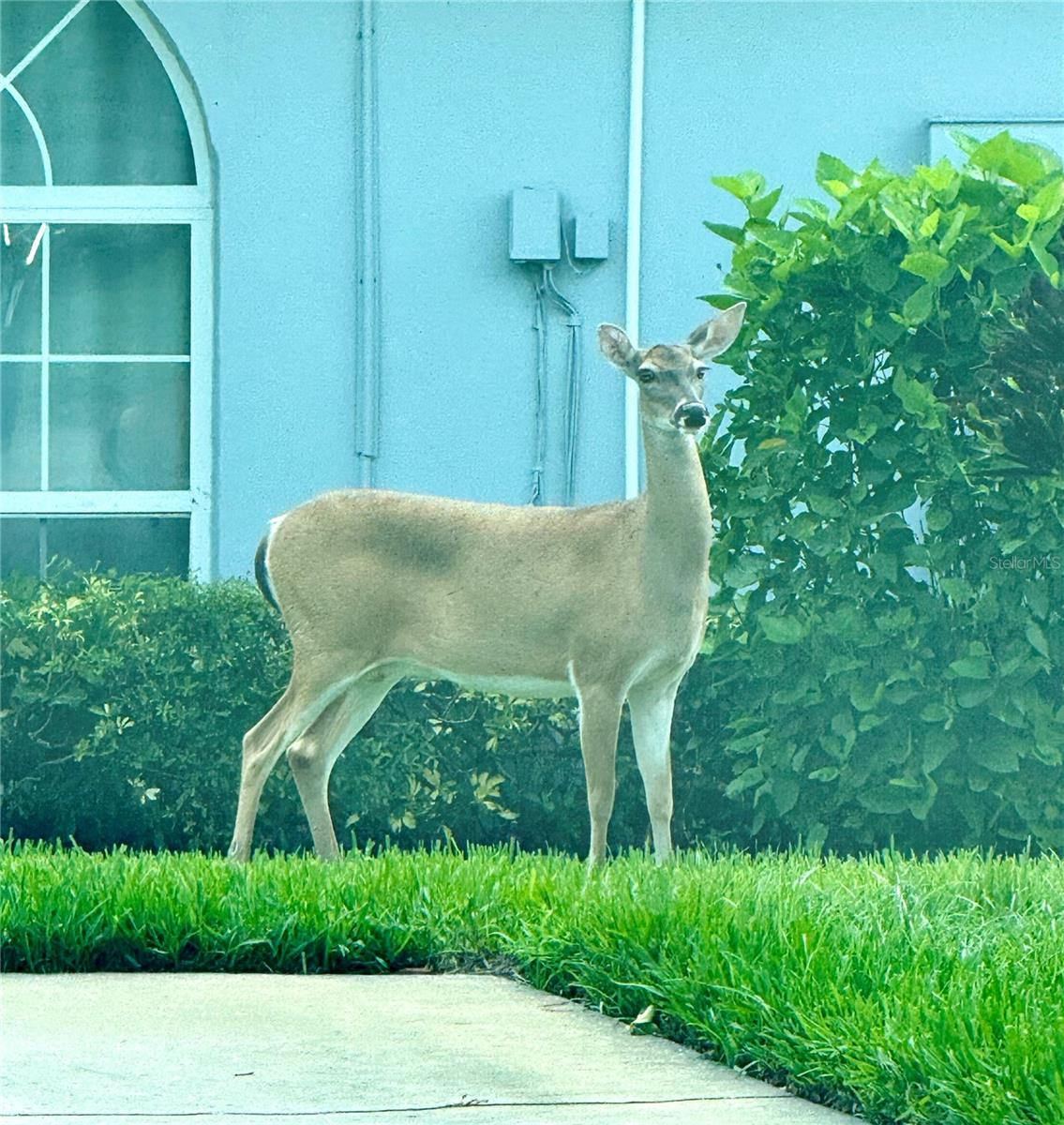 Welcome to the Neighborhood