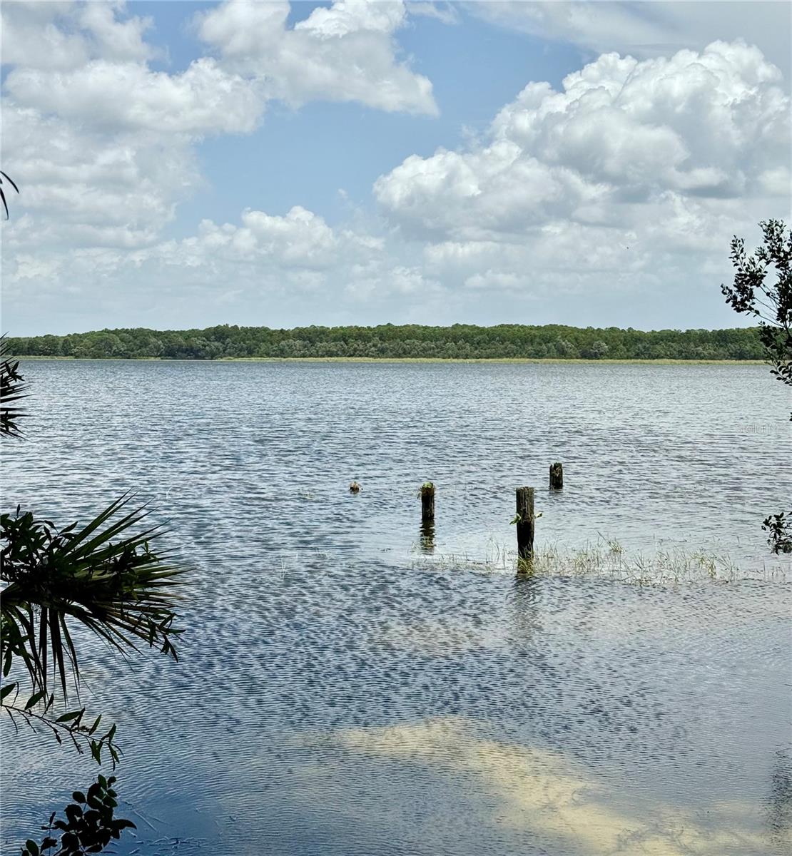 Scenic Lake Tarpon