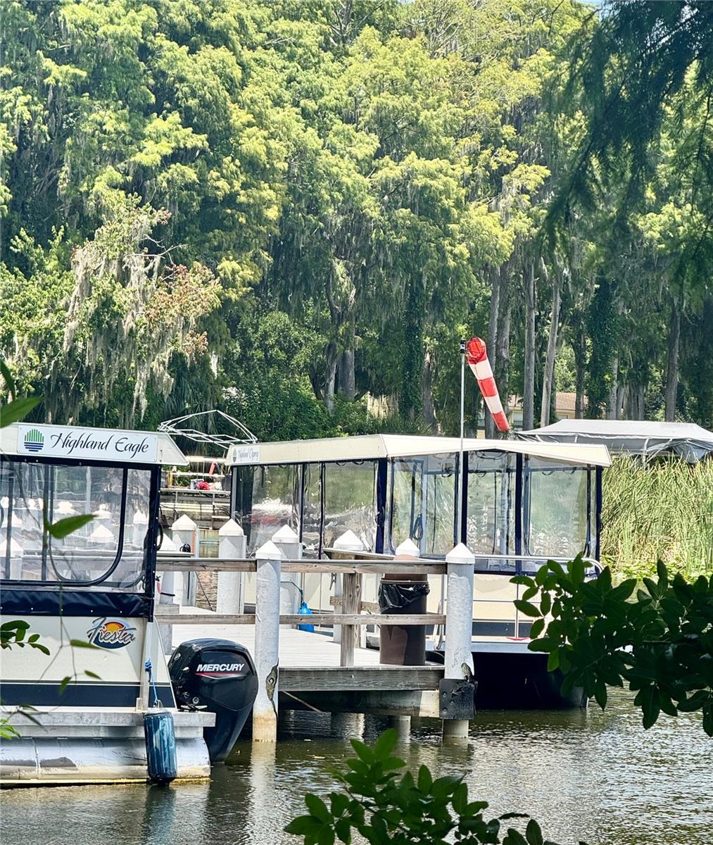 Pontoon Boating on Lake Tarpon