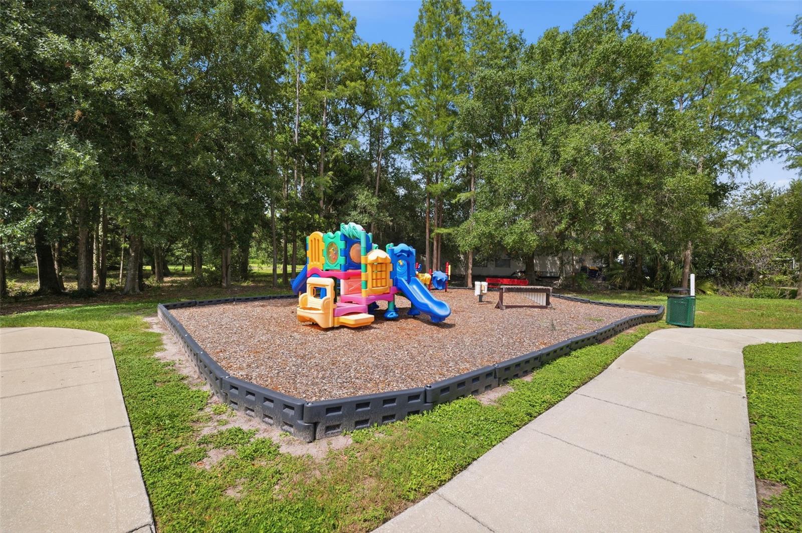 Park / Playground View