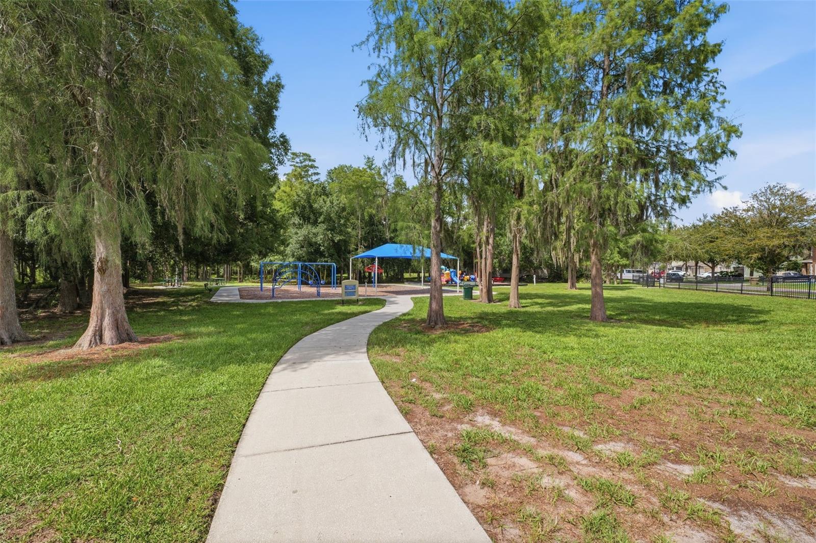 Park / Playground View