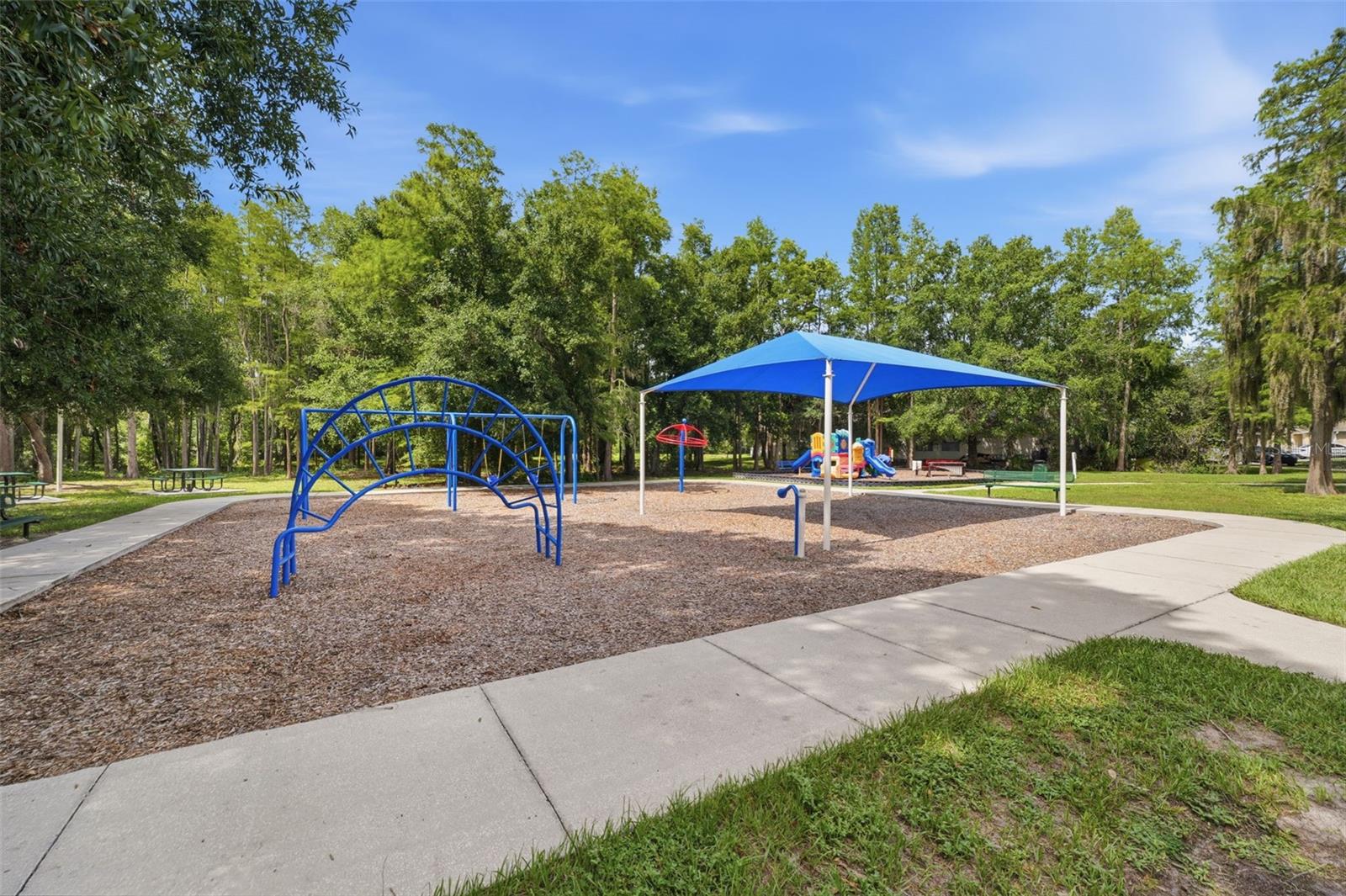 Park / Playground View