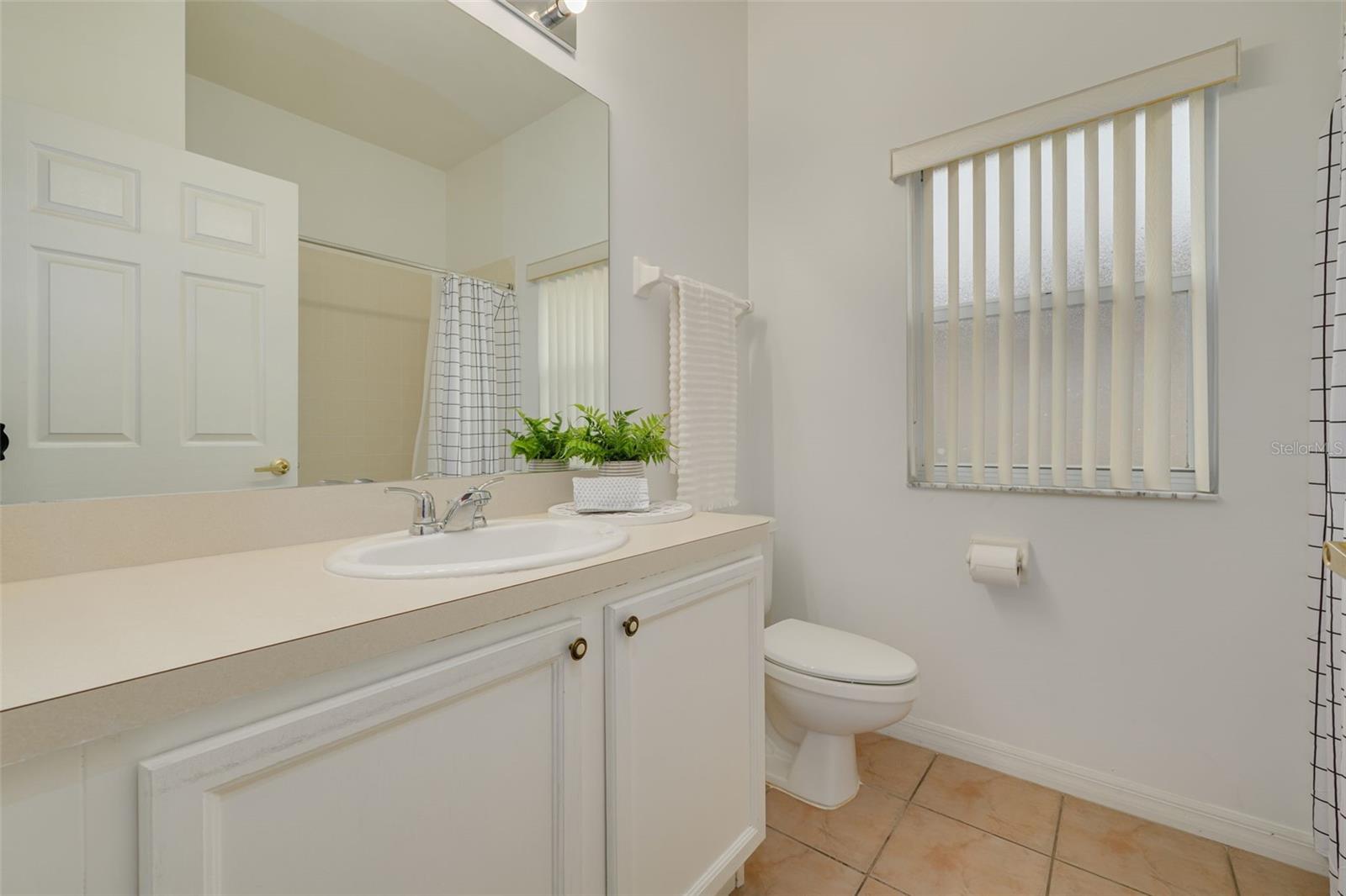 Hall bathroom