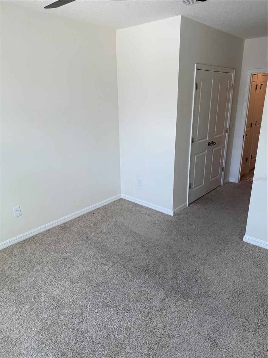 S5153849