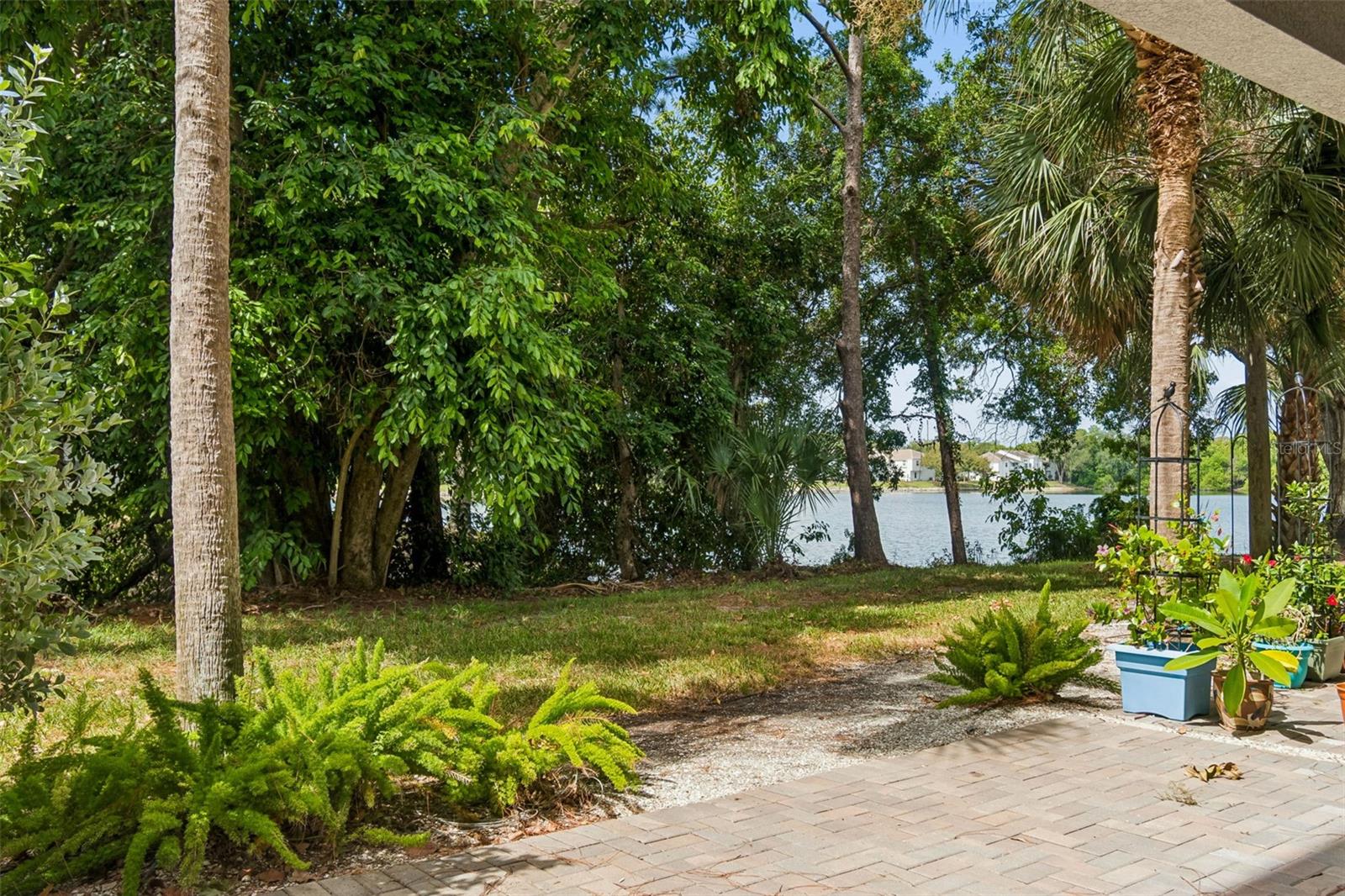 Extended Rear Covered Patio
