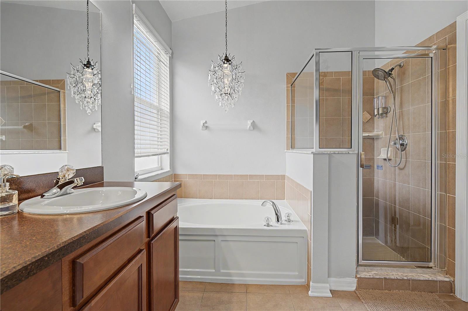 Soaking tub and separate shower