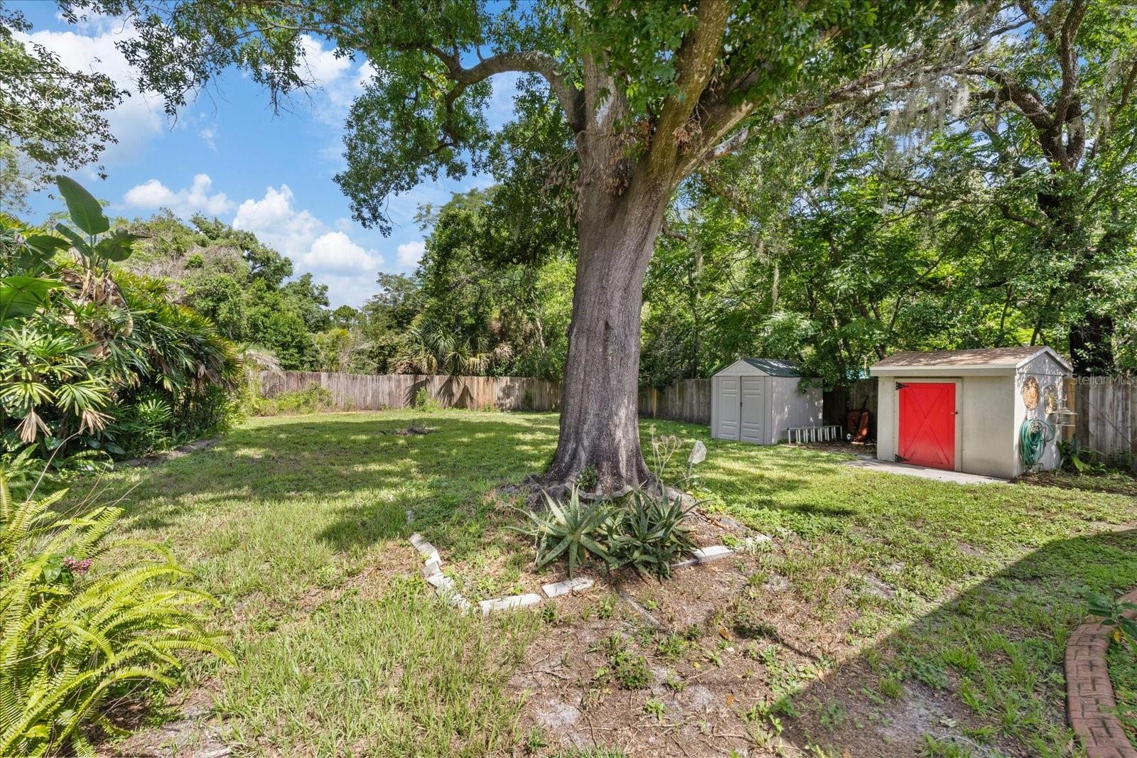 Large fully Fenced in Yard