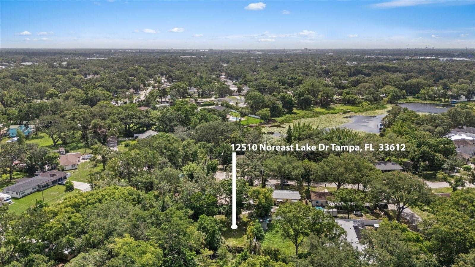 Located in the Heart of Tampa