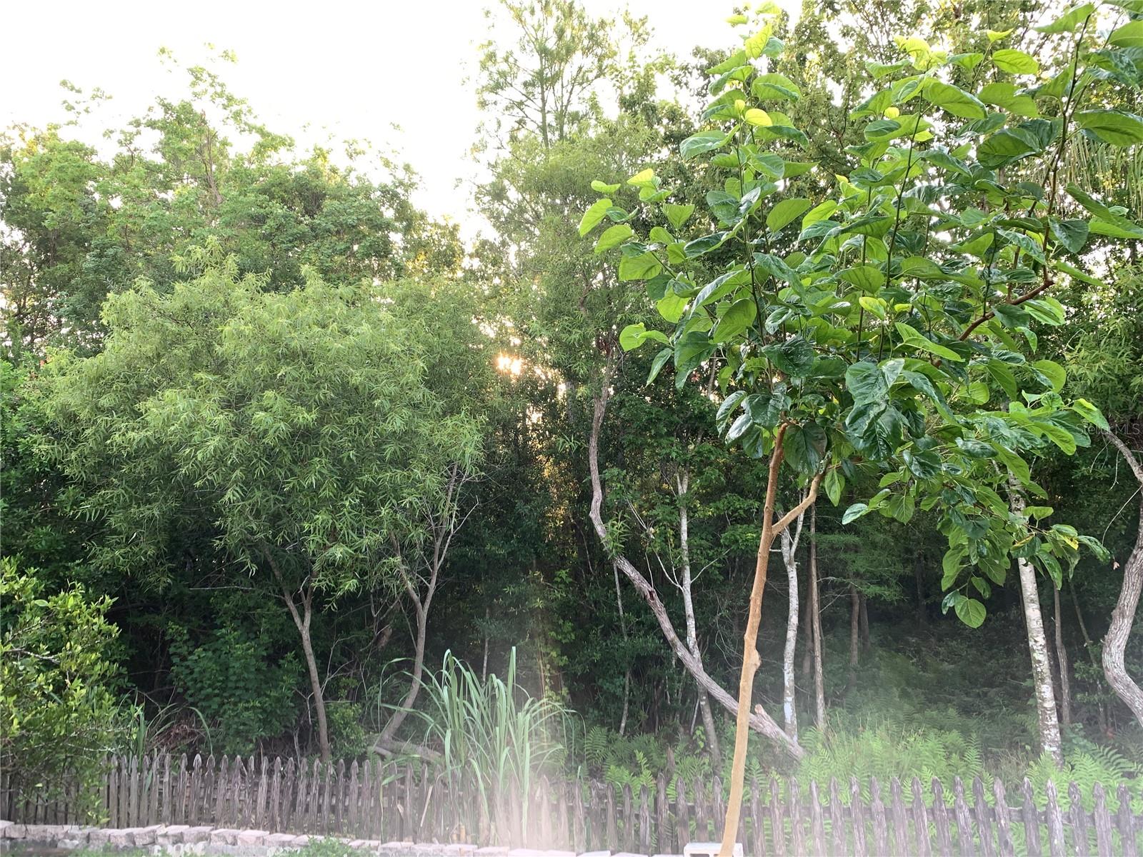 TB8530108