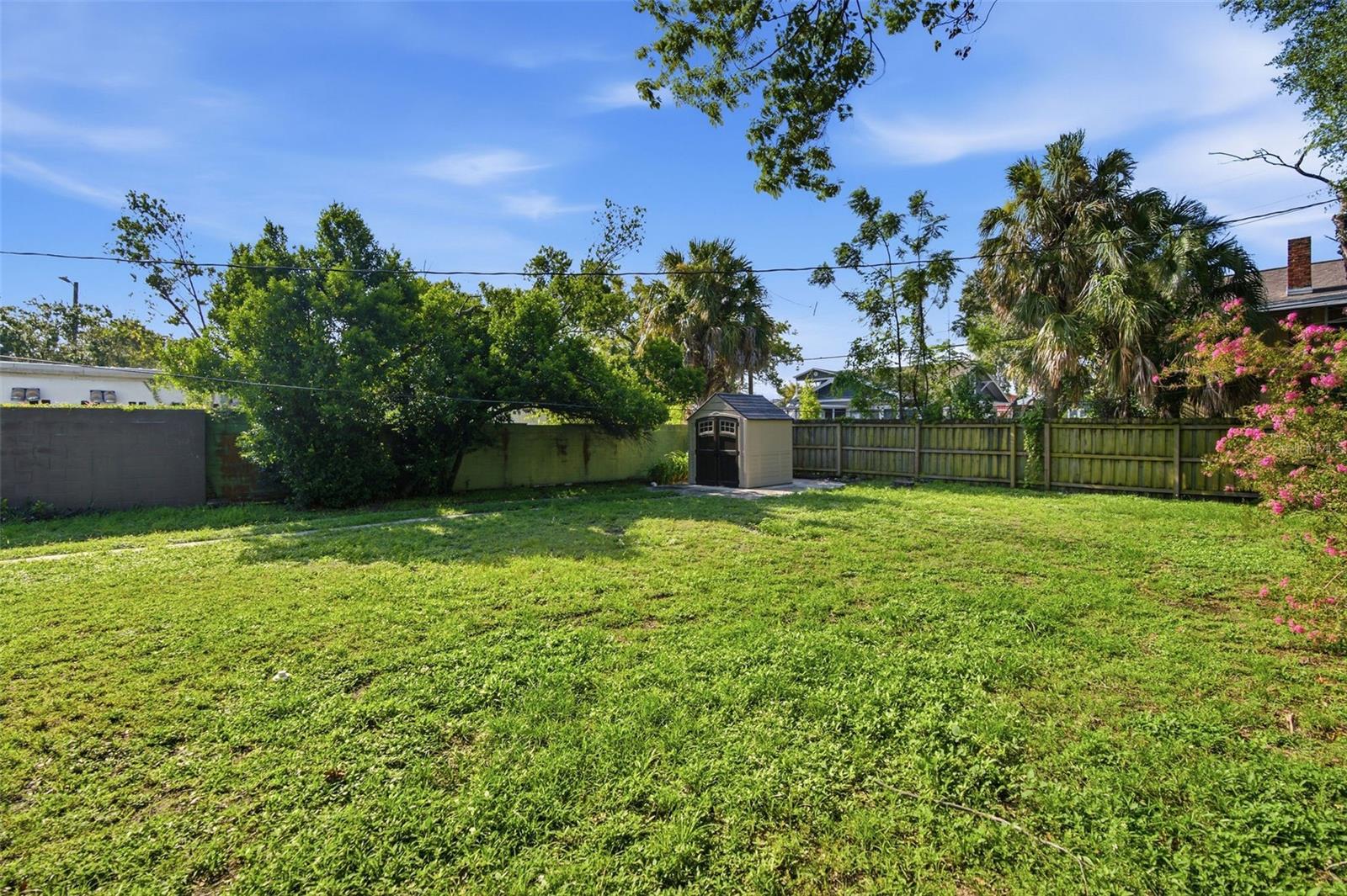 Oversized large lot and backyard