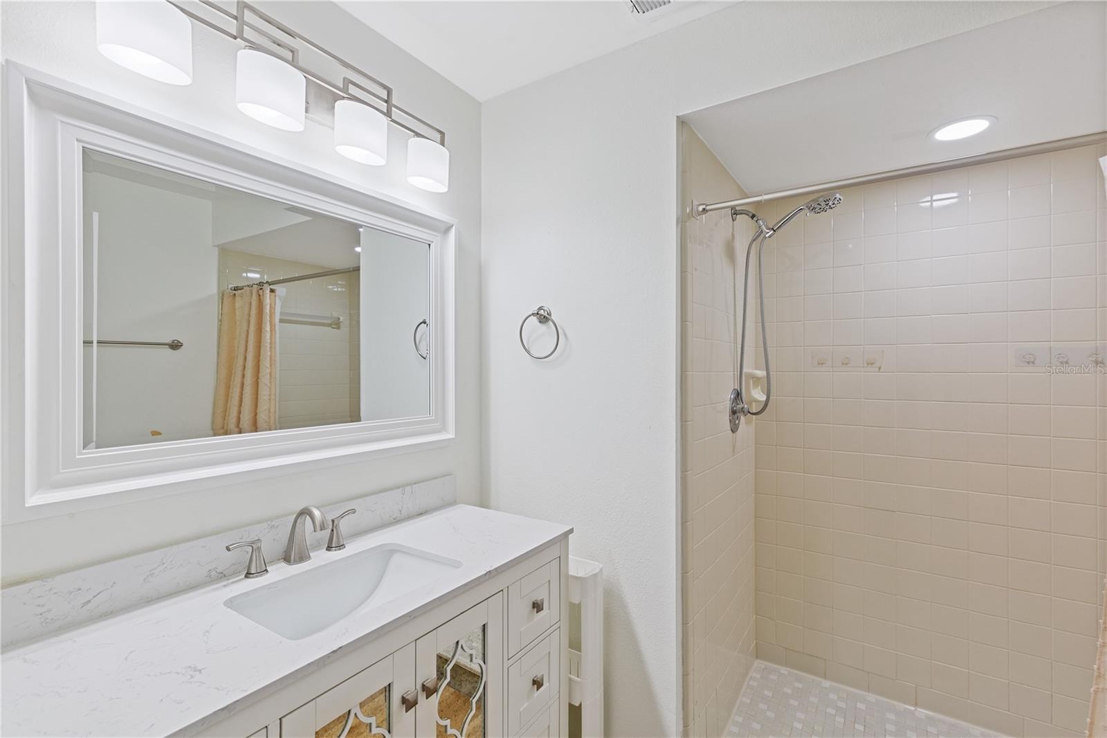 Primary bathroom shower