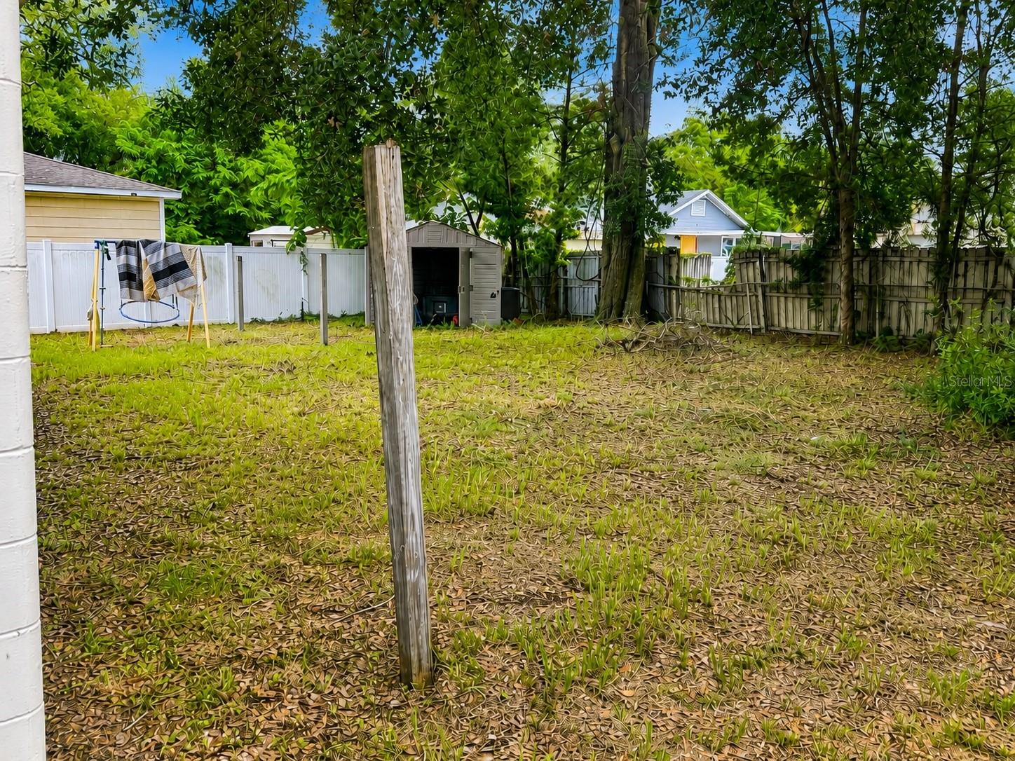 Backyard