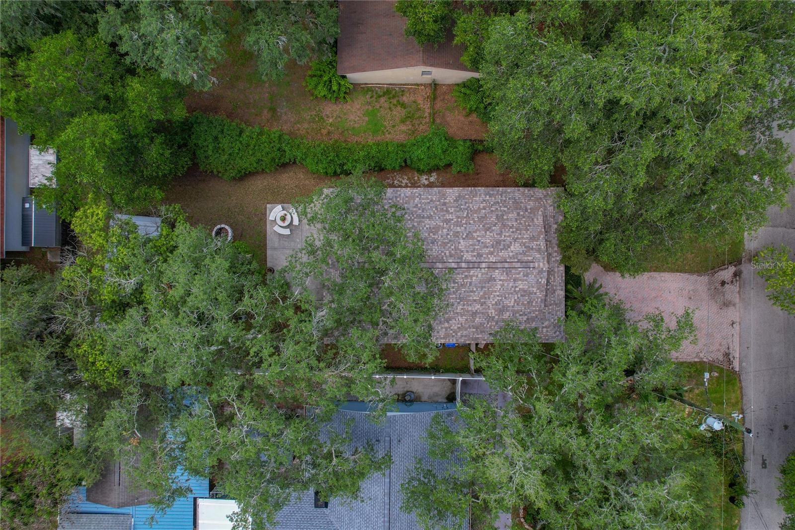 Roof 2023
