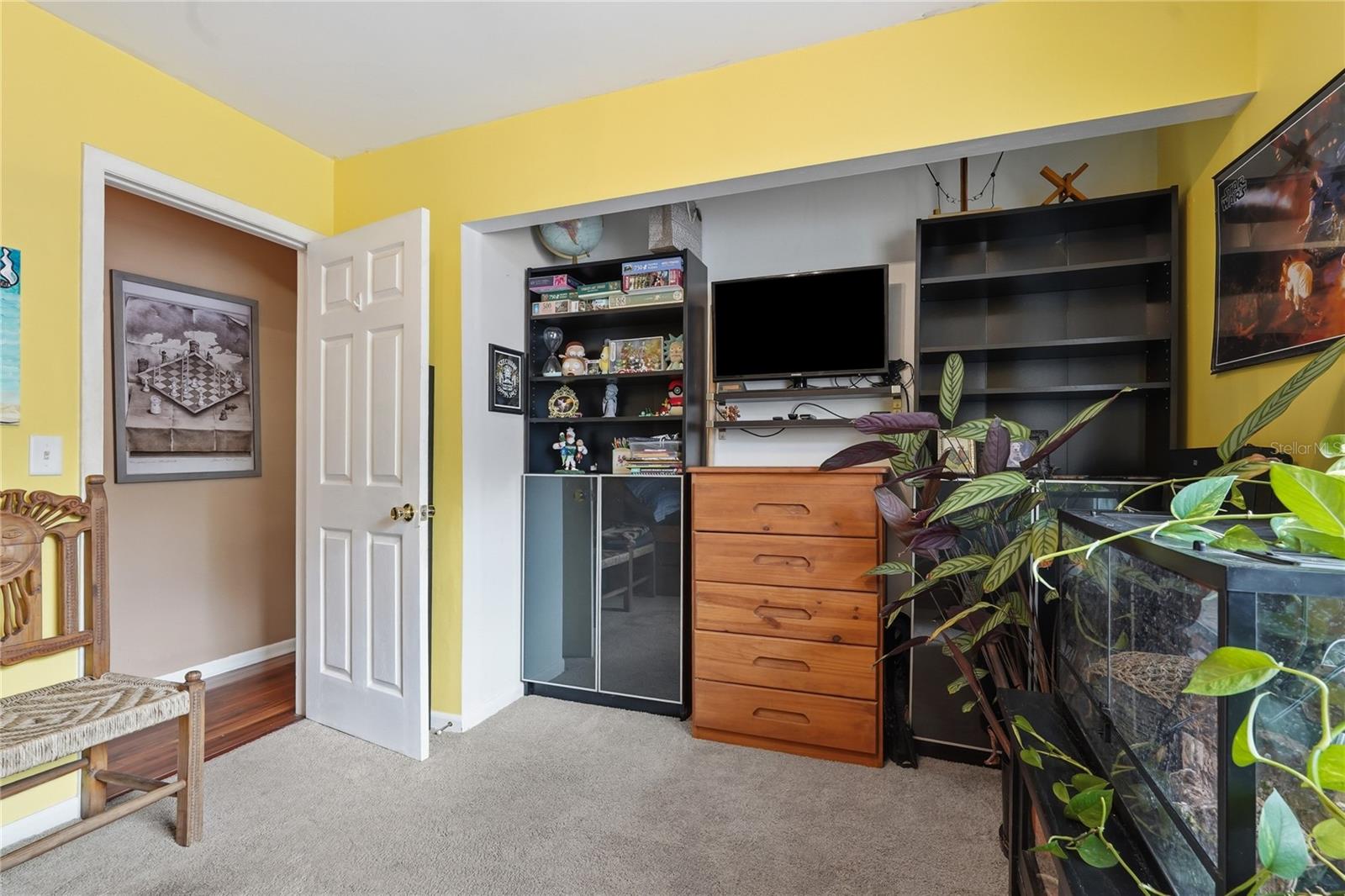 Guest Bedroom Closet