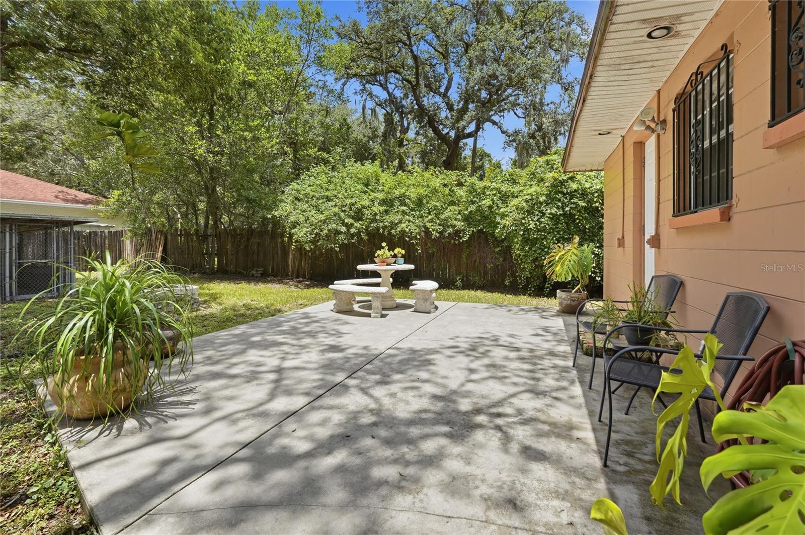 Tree-Shaded Open Patio