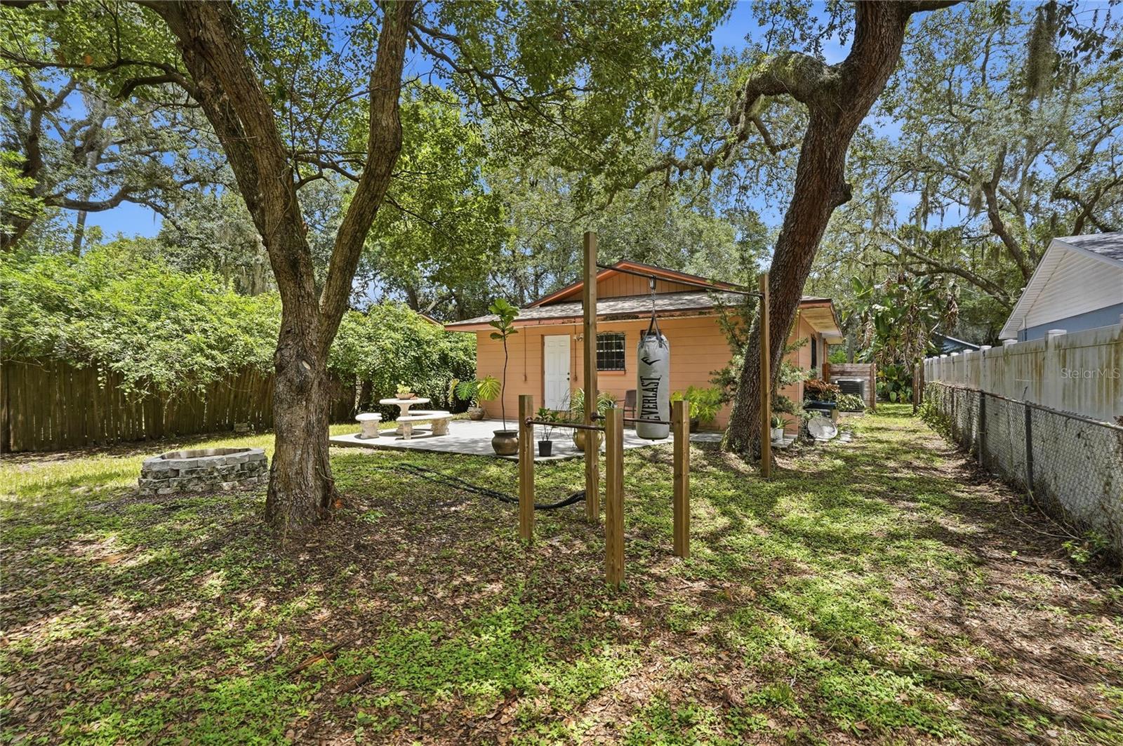 Firepit and Exercise Equipment
