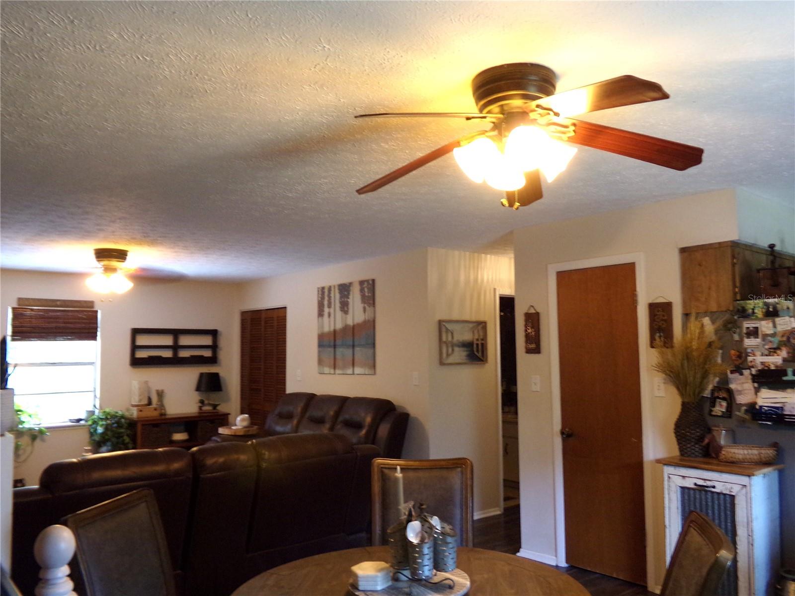 View of Dining area into Livingroom with Closet Pantry