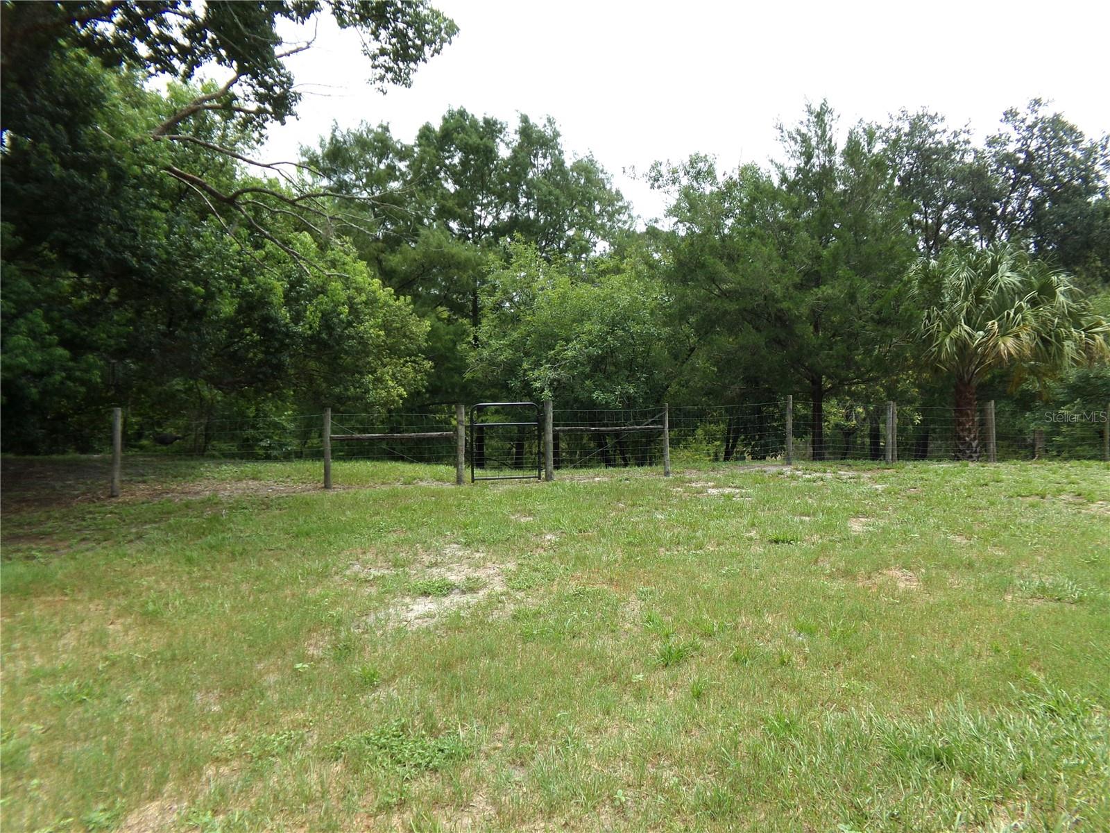 View of Property Looking Toward the River