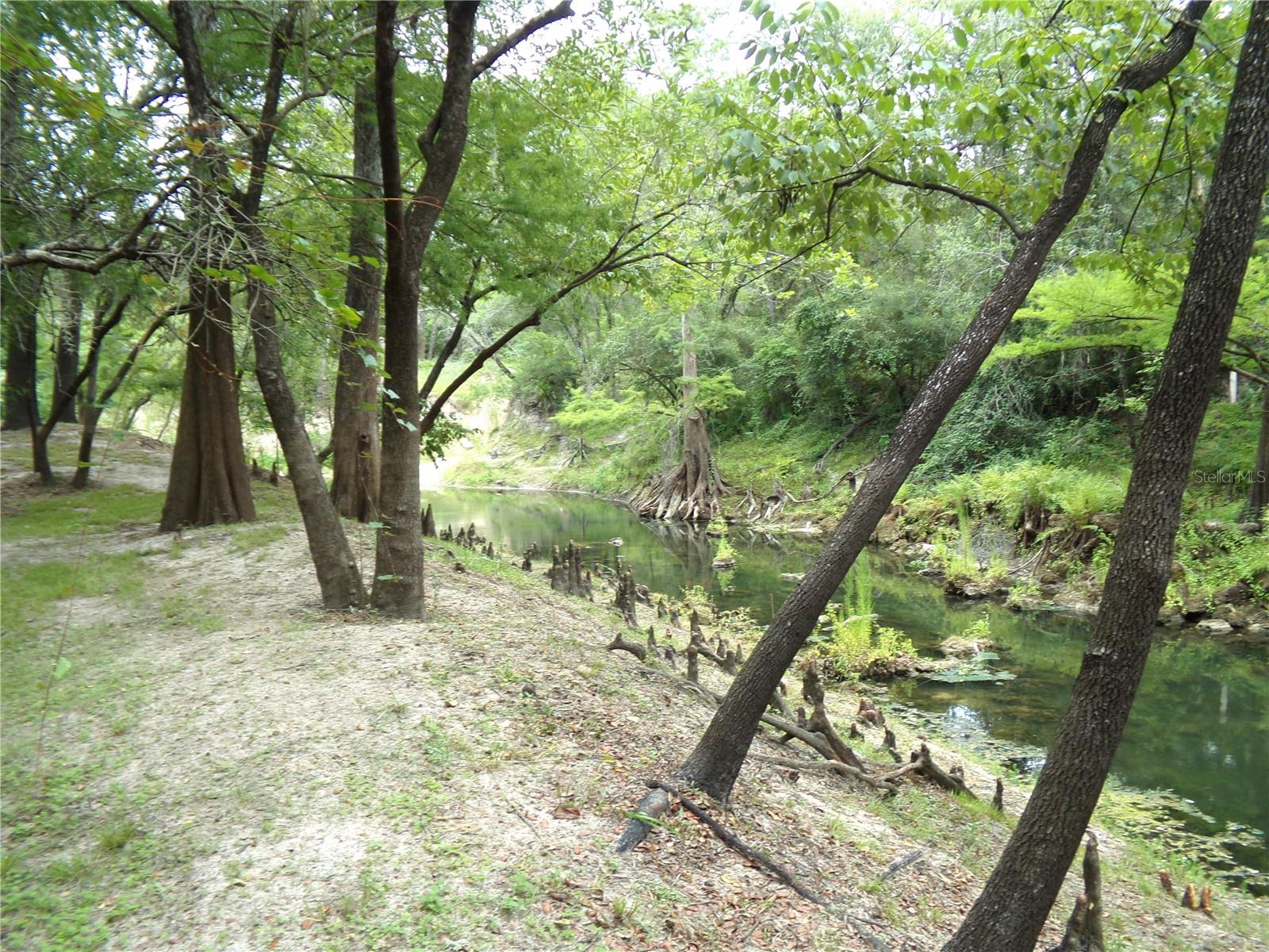 View of River at Back of Property