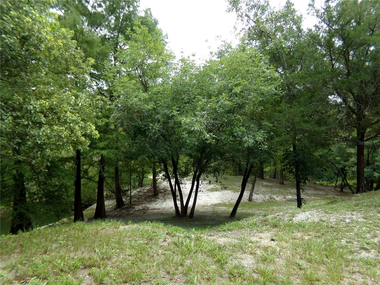 View of River From Back Yard