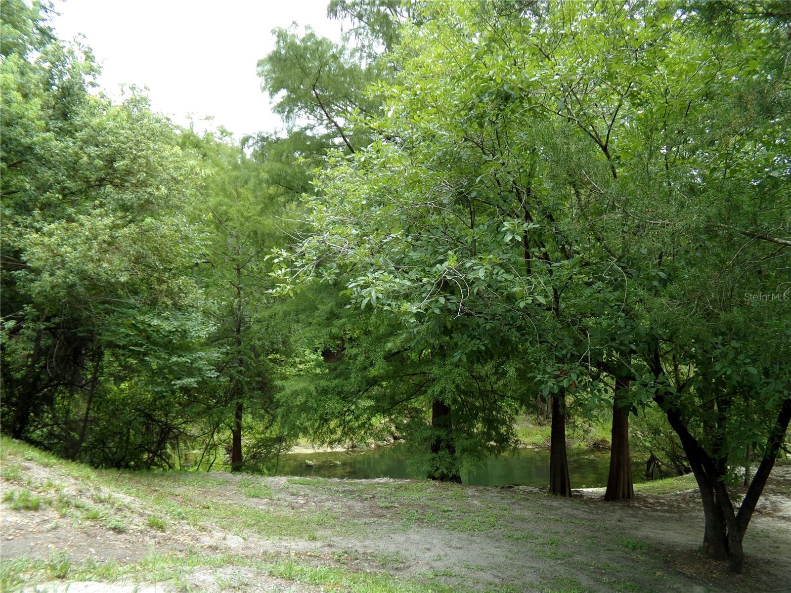 View of River From Yard