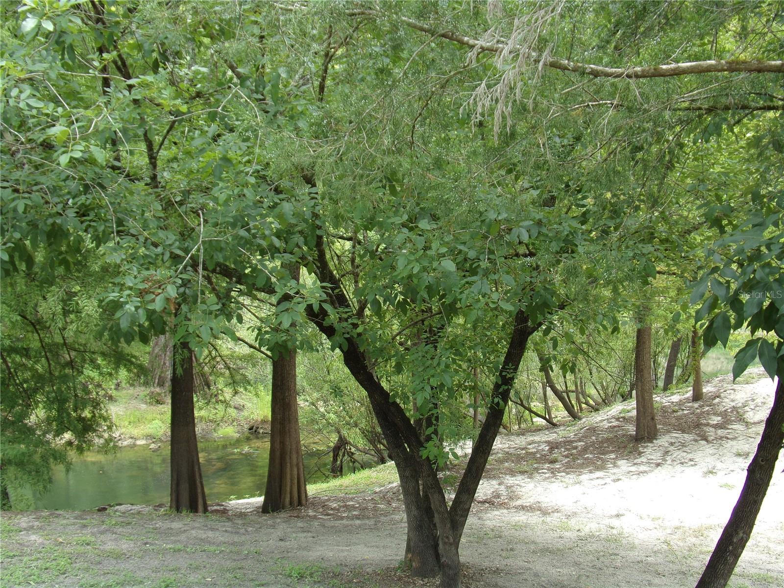 View of River from Yard