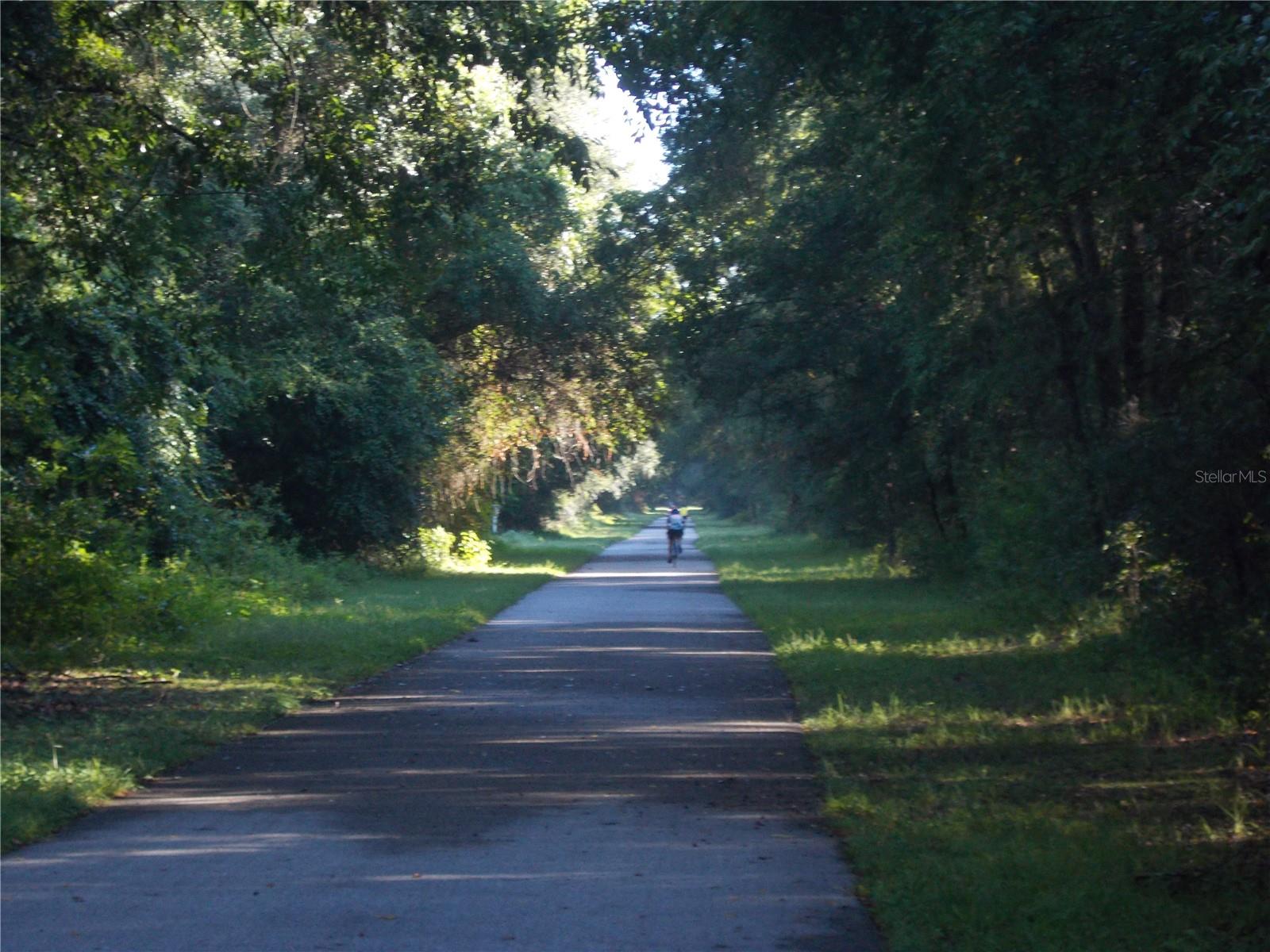 Withlachoochee Trail