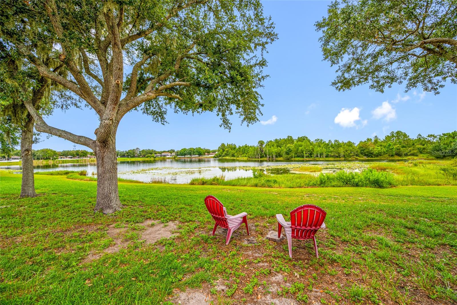 Backyard View of the Water