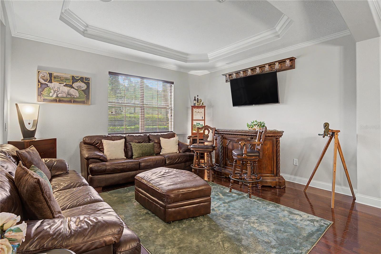 Formal living room with tray ceiling and wall TV