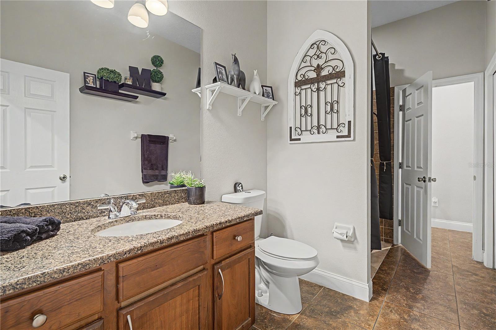 Downstairs bath with full shower